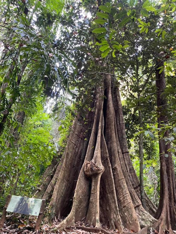 Hunny Home Ko Yao Noi Exteriér fotografie